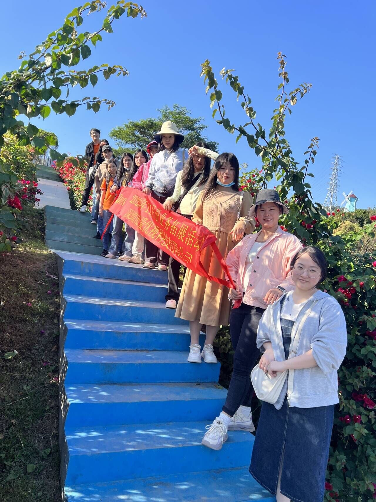 粘贴的图片